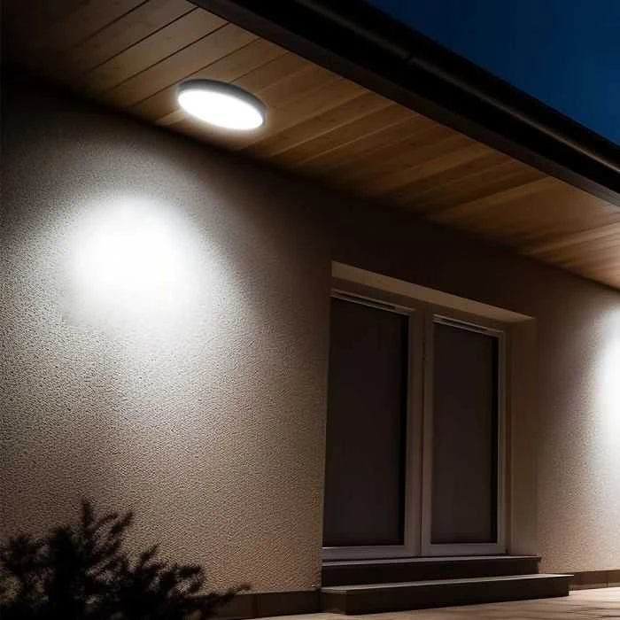 Sieninis šviestuvas 24W LED paviršinis šviestuvas, juodu korpusu, 6500K, IP44
