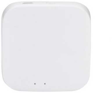 SMART HOME valdiklis ZIGBEE TUYA