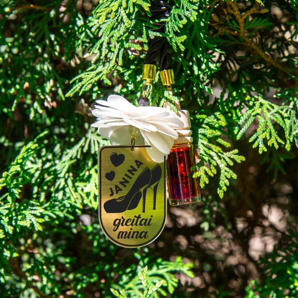 Autokvapukas "Janina greitai mina"