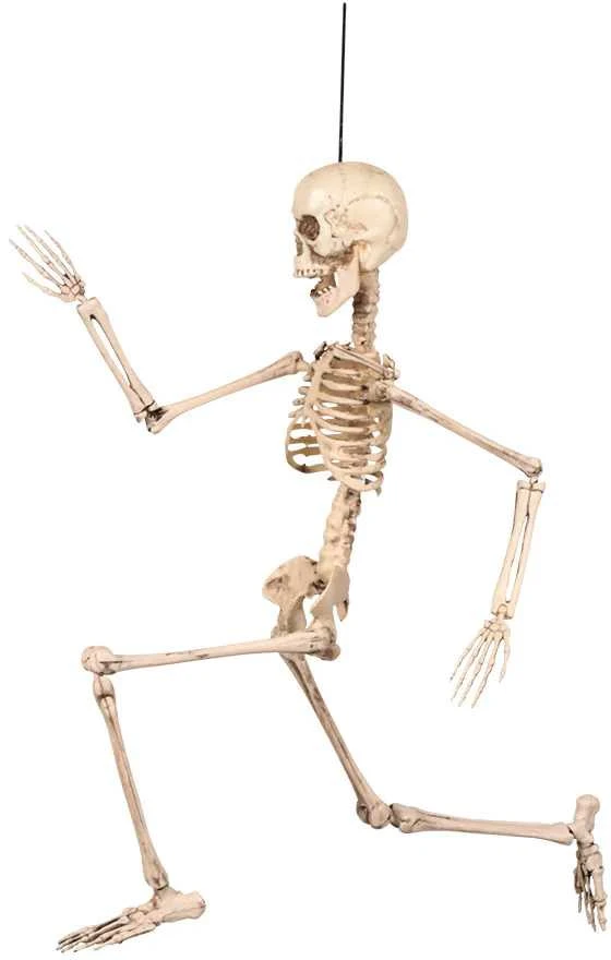 Dekoracija "Skeletas" (50cm)
