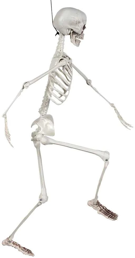 Dekoracija "Skeletas" (91cm)