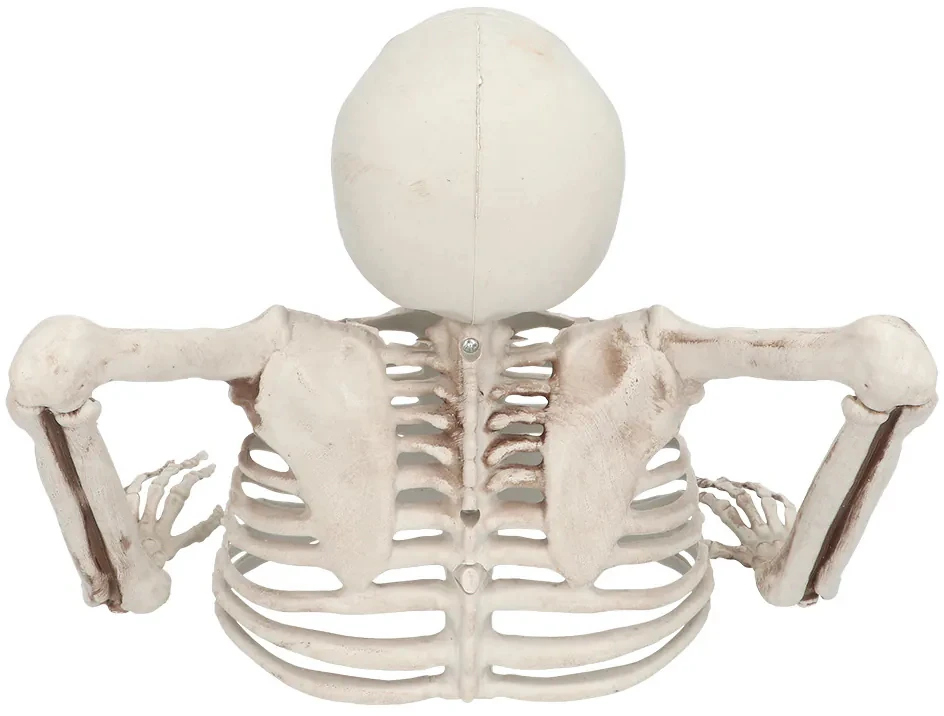 Boland Party Partners B.V. Dekoracija „Skeletas iš kapo“, 20 cm