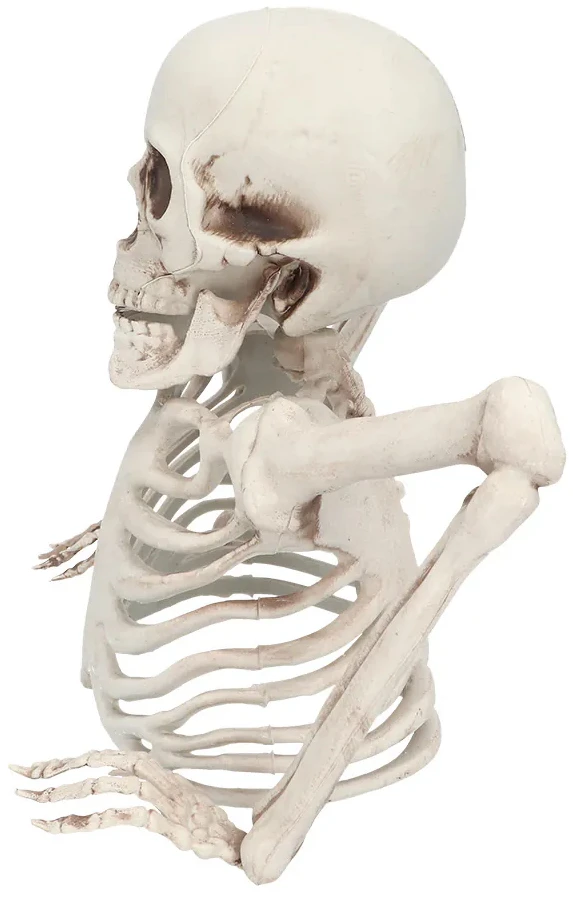 Boland Party Partners B.V. Dekoracija „Skeletas iš kapo“, 20 cm