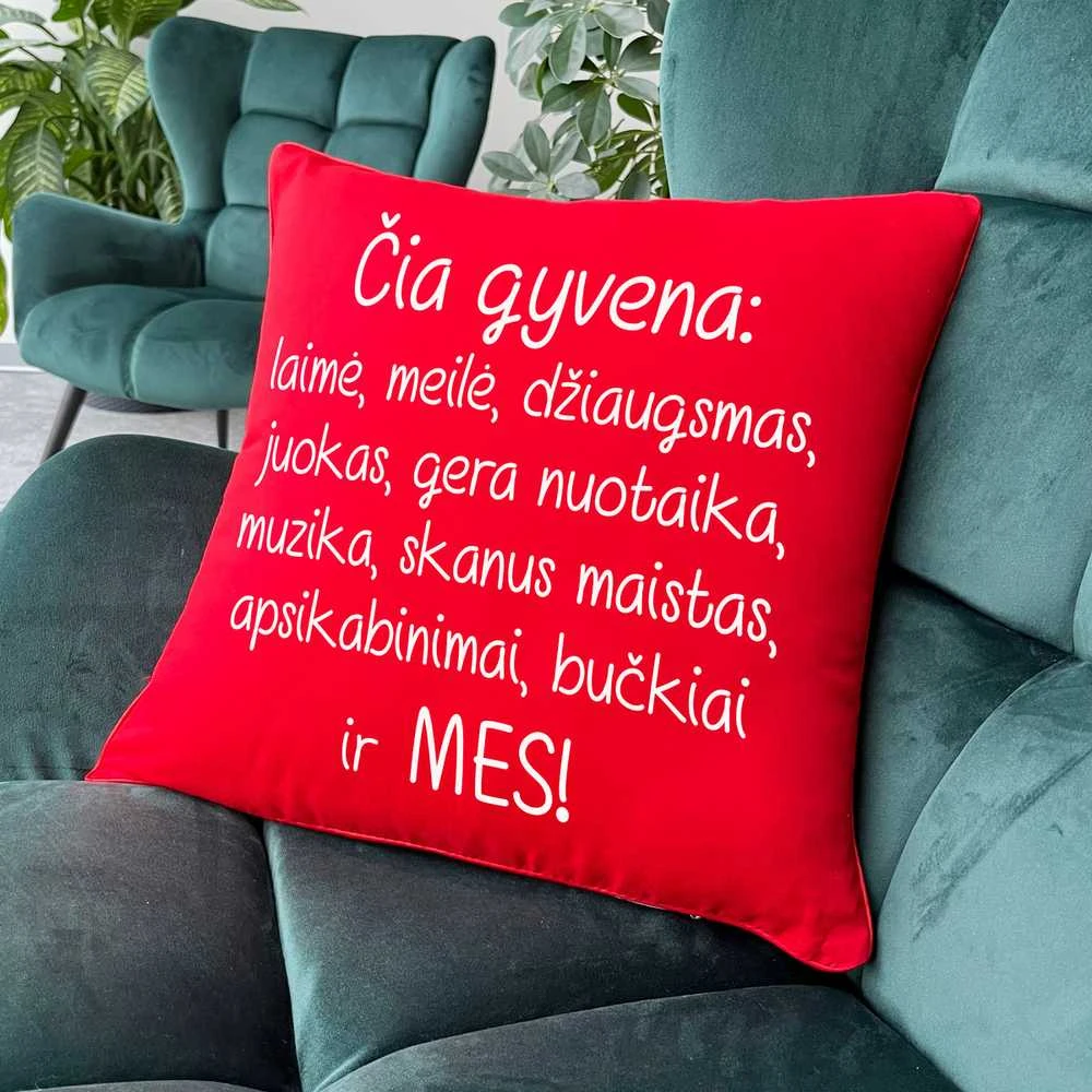 Dekoratyvinė pagalvėlė "Čia gyvename MES"