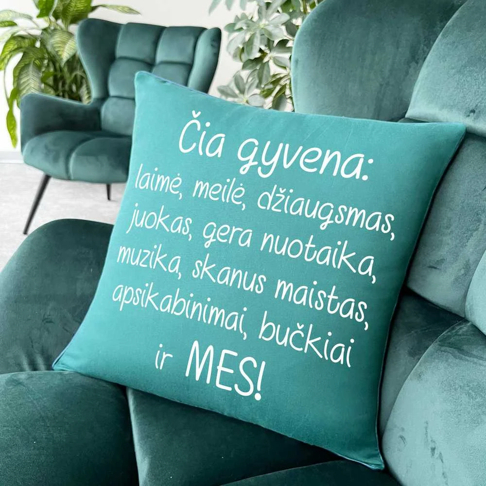 Dekoratyvinė pagalvėlė "Čia gyvename MES"