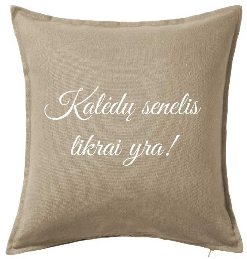 Dekoratyvinė pagalvėlė "Kalėdų senelis tikrai yra"