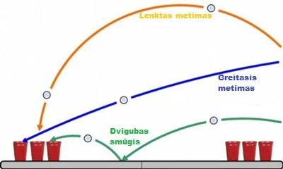 Žaidimas 