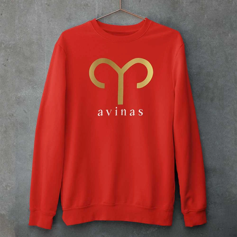 Džemperis "Avinas" (be kapišono)