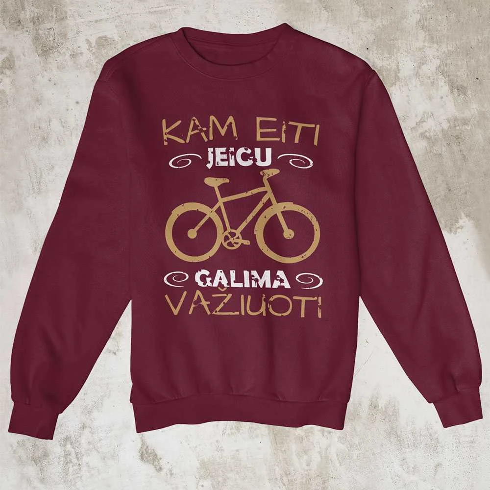 Džemperis "Kam eiti, jei galima važiuoti" (be kapišono)