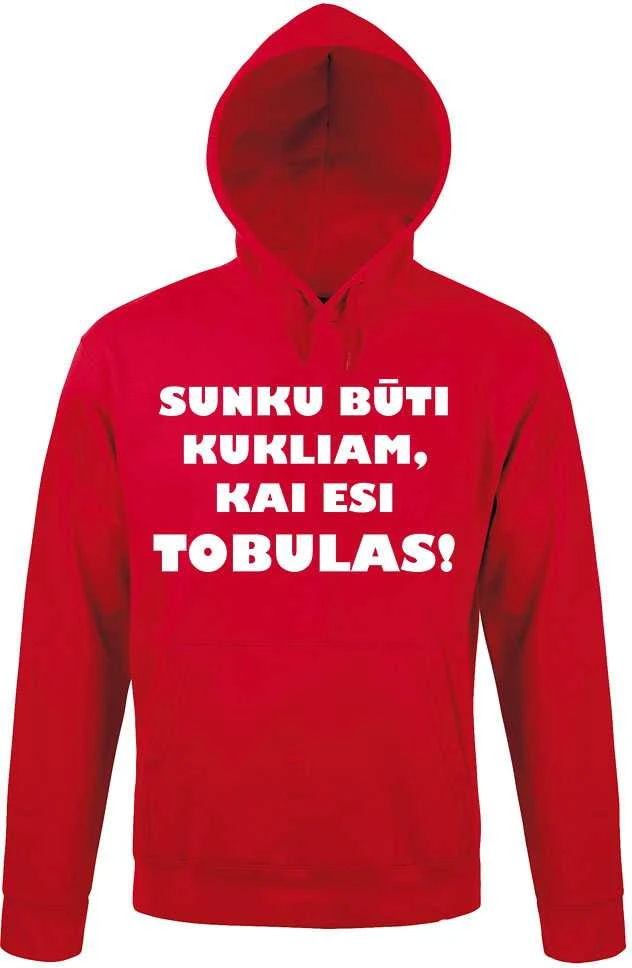 Džemperis "Ponas tobulybė"