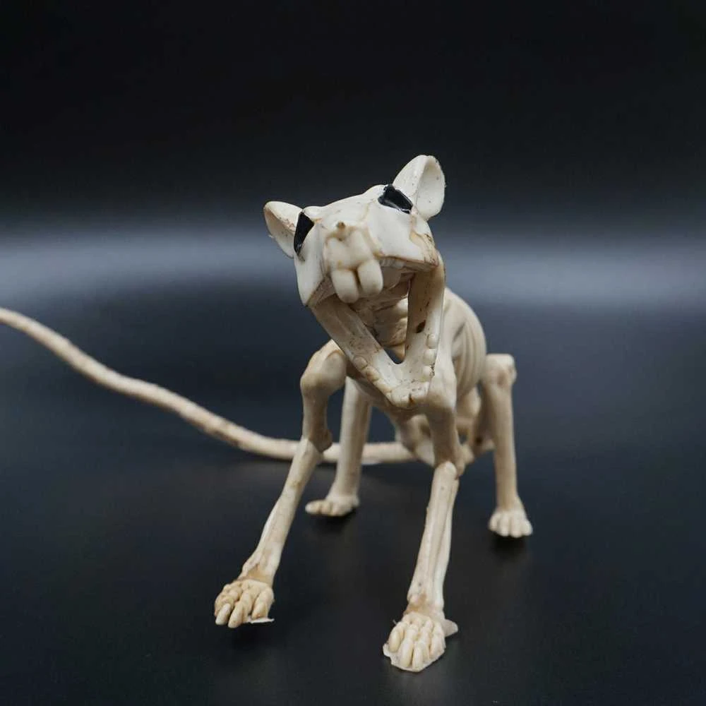 Helovino statulėlė "Žiurkės skeletas"