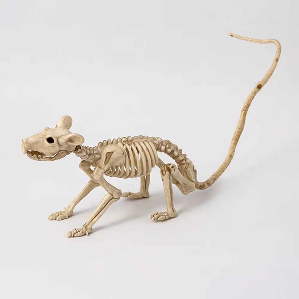 Helovino statulėlė "Žiurkės skeletas"