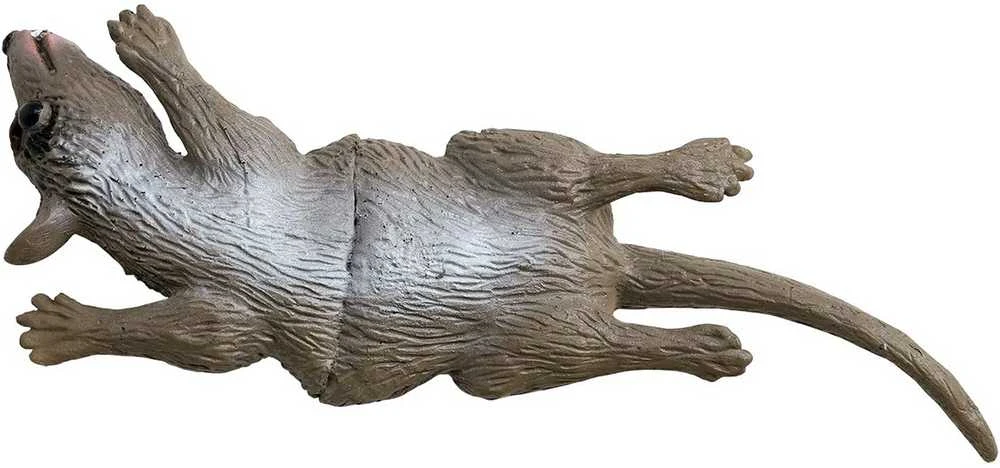 Kabanti Helovino žiurkė