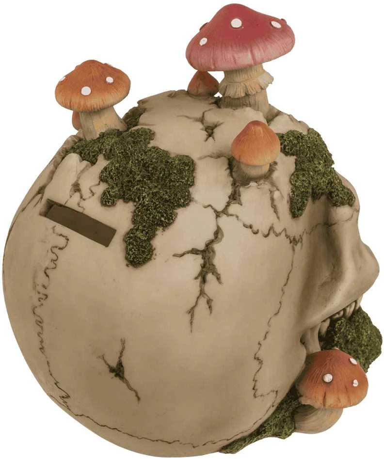 Kaukolės formos taupyklė "Mushroom"