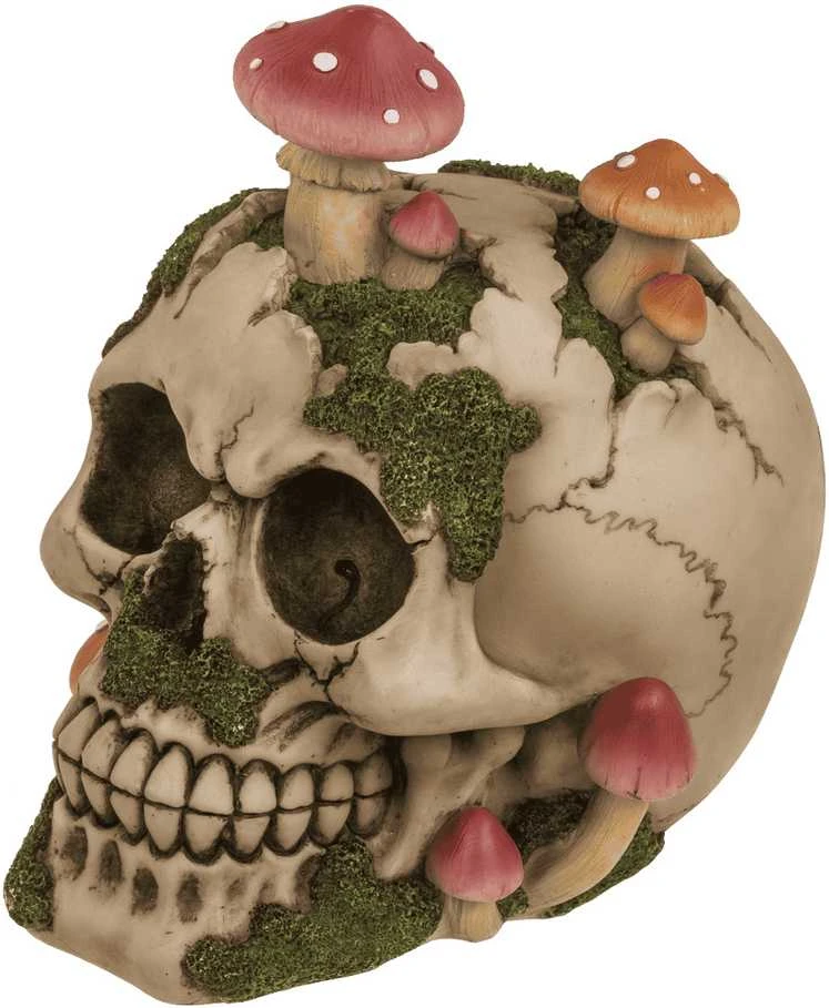 Kaukolės formos taupyklė "Mushroom"