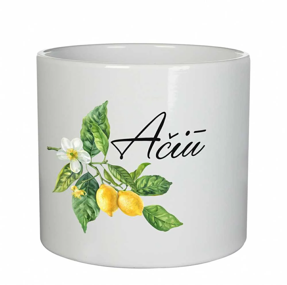 Keramikinis vazonas "Ačiū"