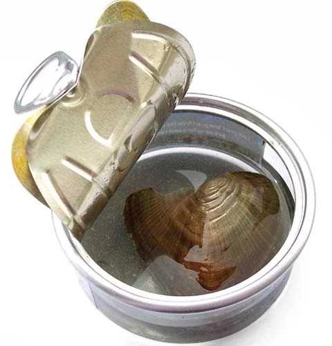 Gadget Factory Likimo perlas - pakabukas