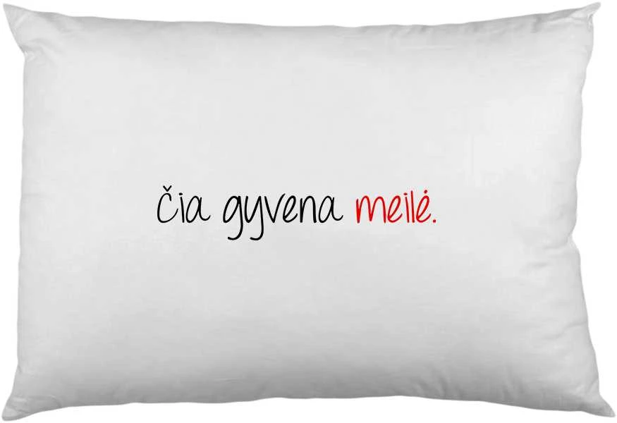 Pagalvės užvalkalas "Čia gyvena meilė"