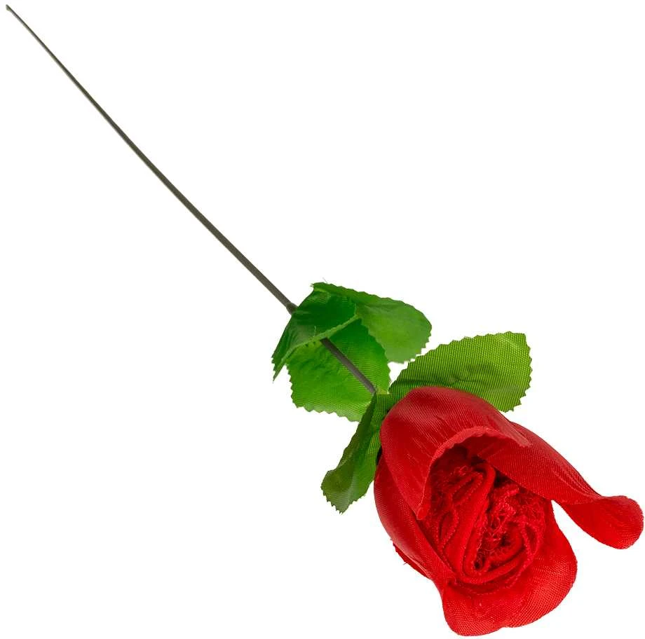 Grajmy Razem Rožė "Stringai"