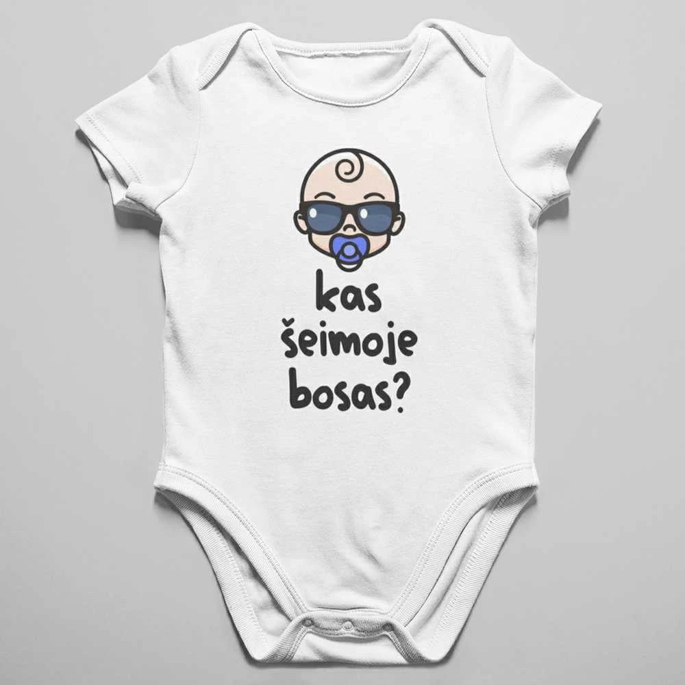 Smėlinukas "Kas šeimos bosas?"