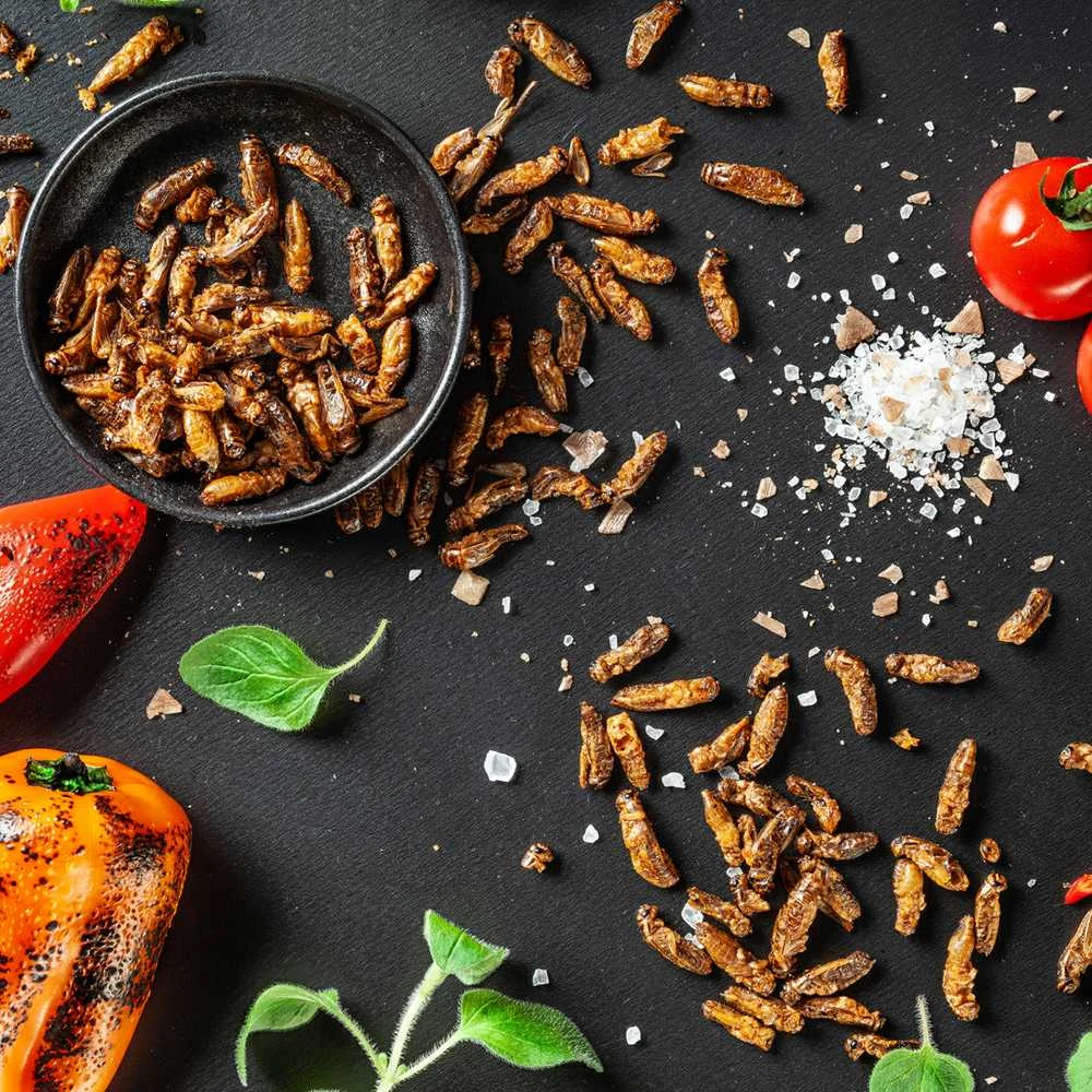 Traškūs skrudinti svirpliai "Smoked peppers"