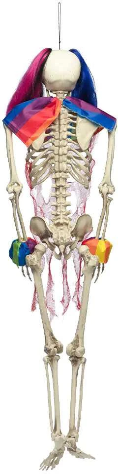 XXL Dekoracija "Circus skeleton" (160cm)