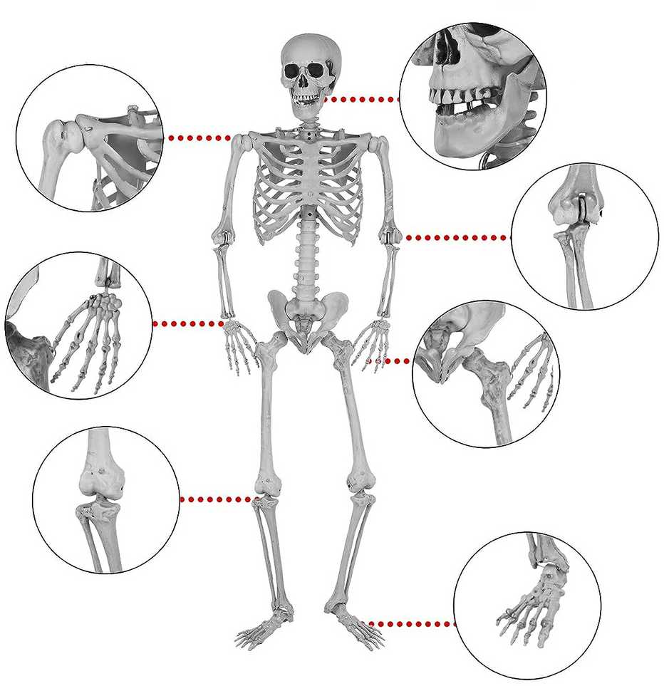 XXL Dekoracija "Skeletas" (160cm)