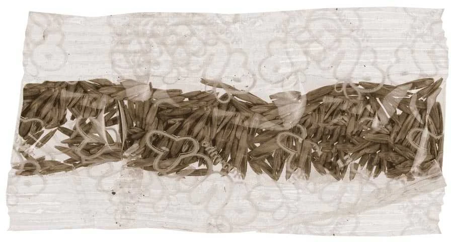 Žoliagalvis – Ūkio gyvūnas