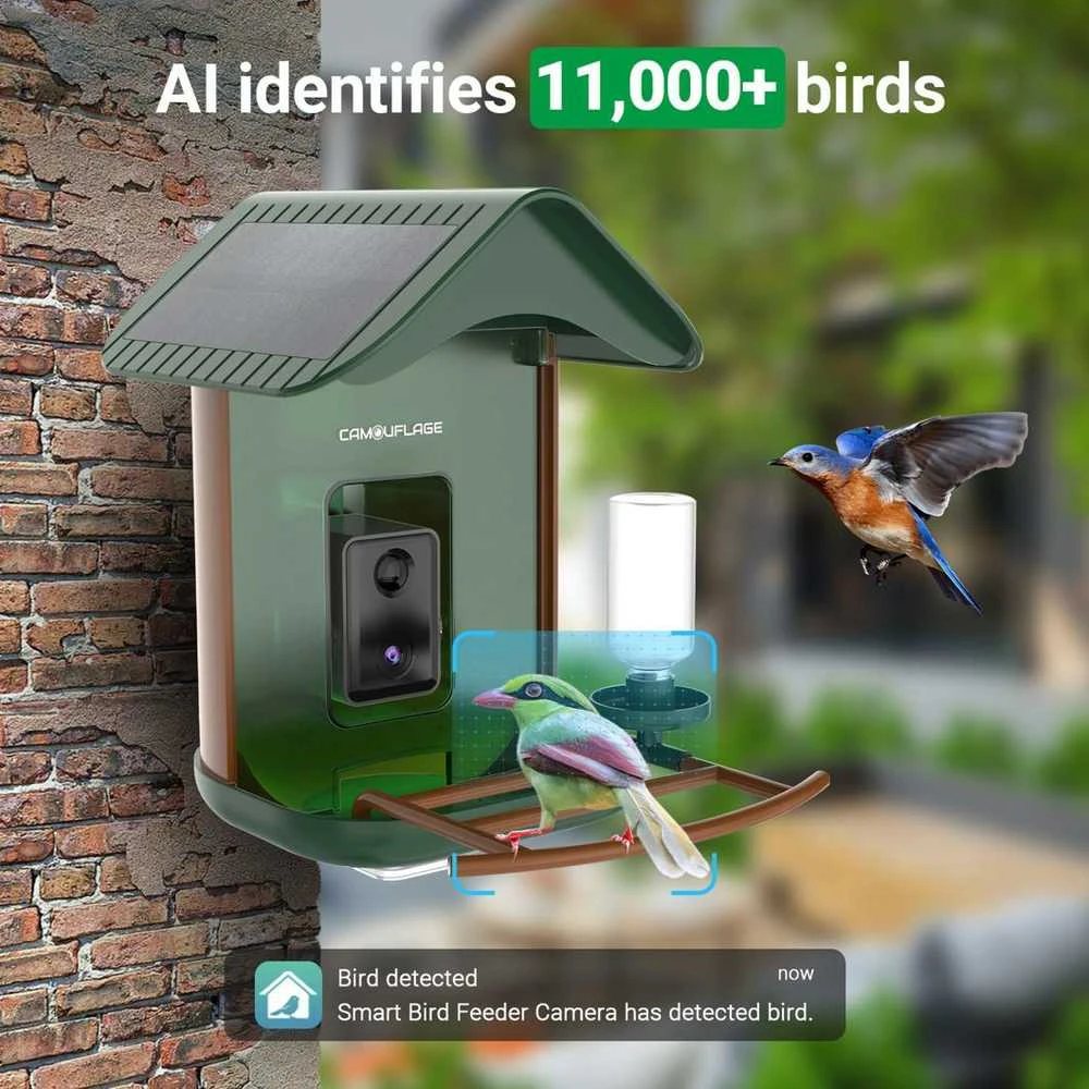 Camouflage Gamtos kamera EZ Birdfeed 1