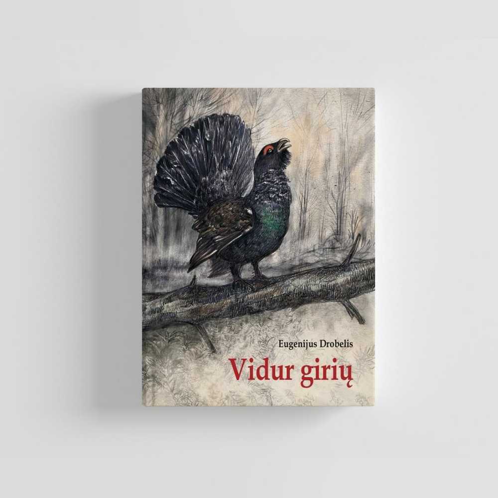 BEF Knyga Eugenijus Drobelis: VIDUR GIRIŲ