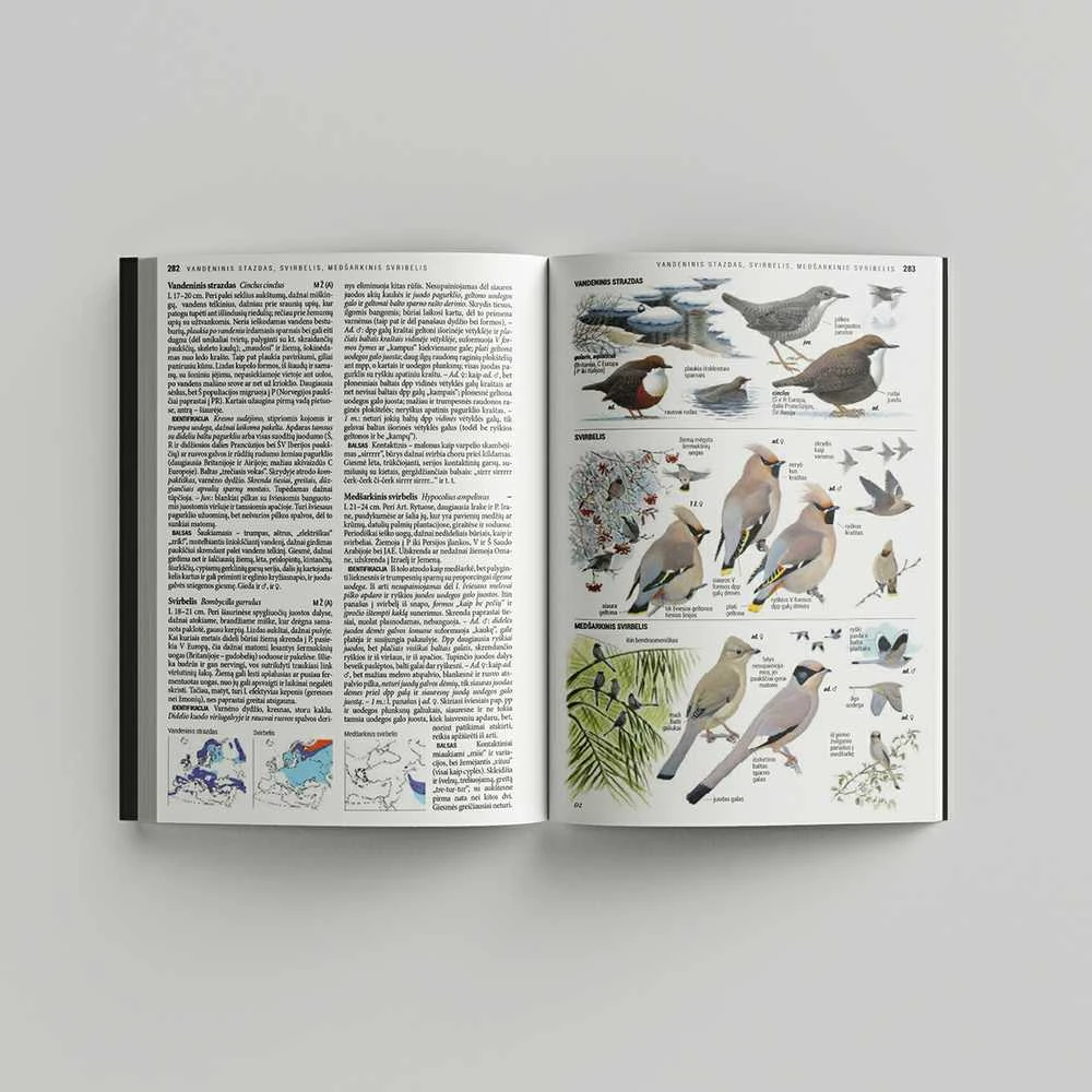 Ornitostogos Knyga Europos paukščių pažinimo vadovas: COLLINS BIRD GUIDE