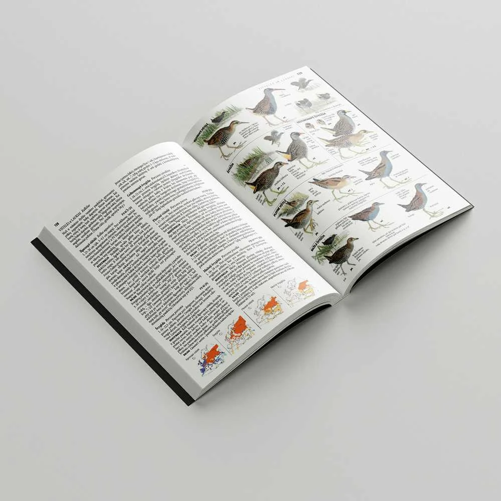 Ornitostogos Knyga Europos paukščių pažinimo vadovas: COLLINS BIRD GUIDE