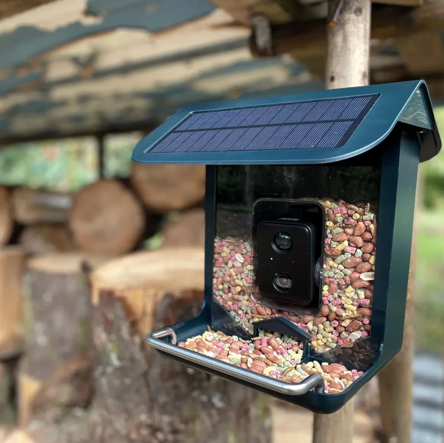 Gamtos kamera NatureSpy WiFi BirdCam Pro