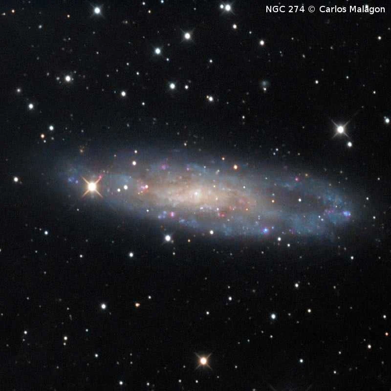 Teleskopas Omegon 154/1370 EQ6-R Pro