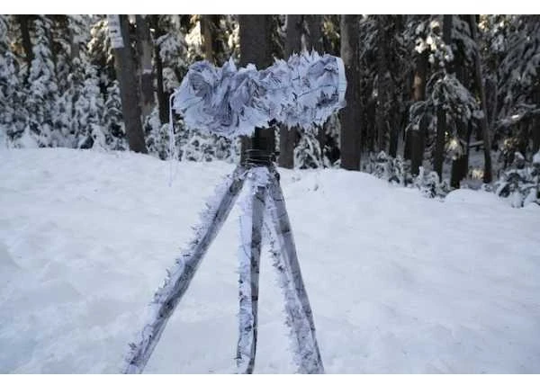 Tragopan Maskuotė 3D mažesniam foto objektyvui sniegas