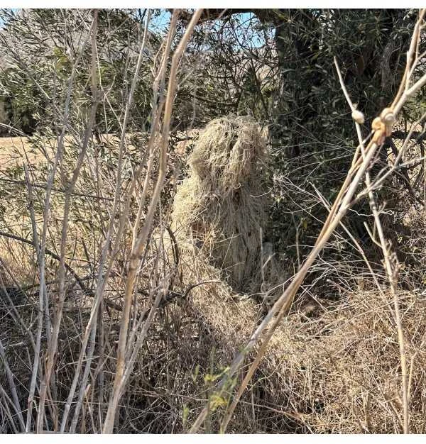 Tragopan Ghillie kostiumas maskuotei lauke