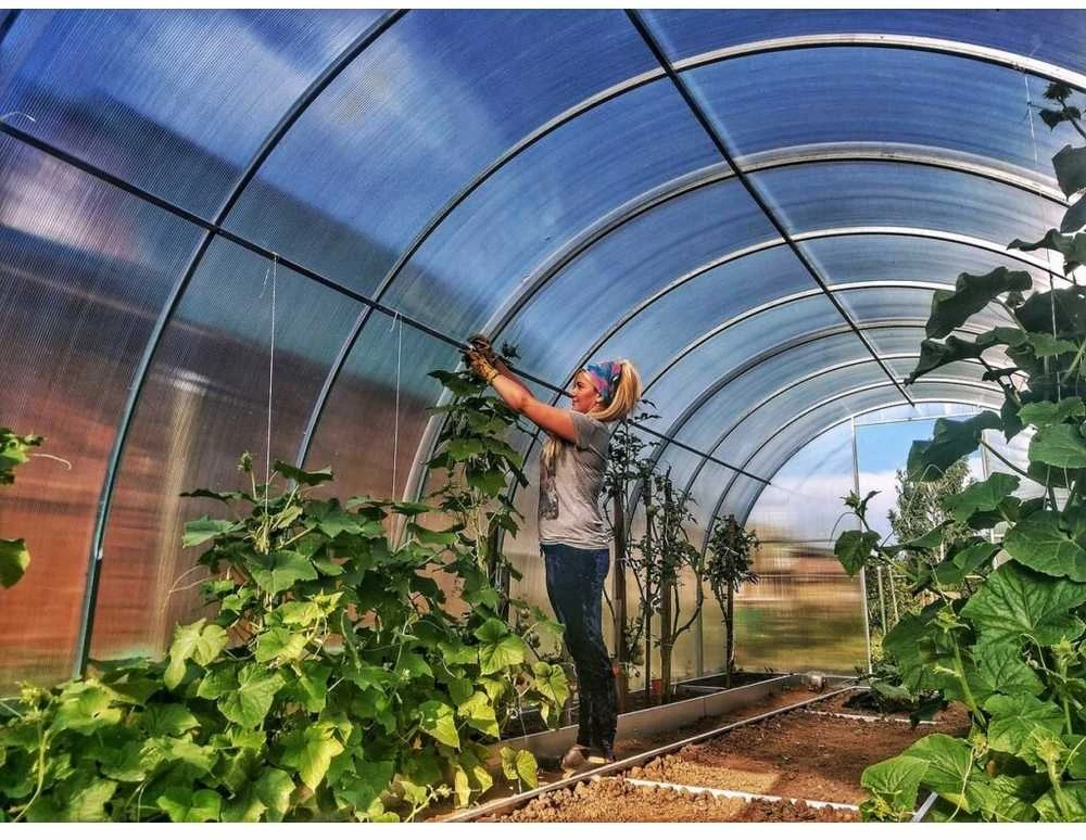Šiltnamis AGRO TITAN (plotis 3m) danga 6mm, Šiltnamio ilgis: Šiltnamio ilgis 4m