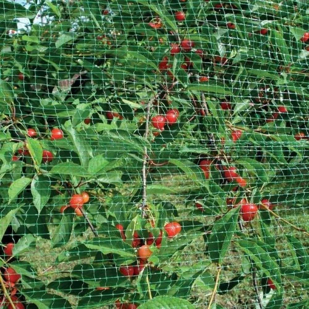 Tinklas nuo paukščių 19mm 3x5 m (7 g/m²)
