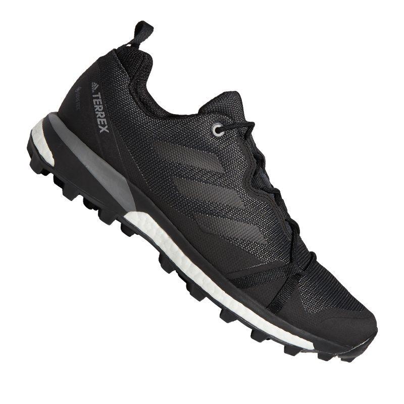 Adidas Terrex Skychaser LT GTX M F36099 shoes | Varle.lt