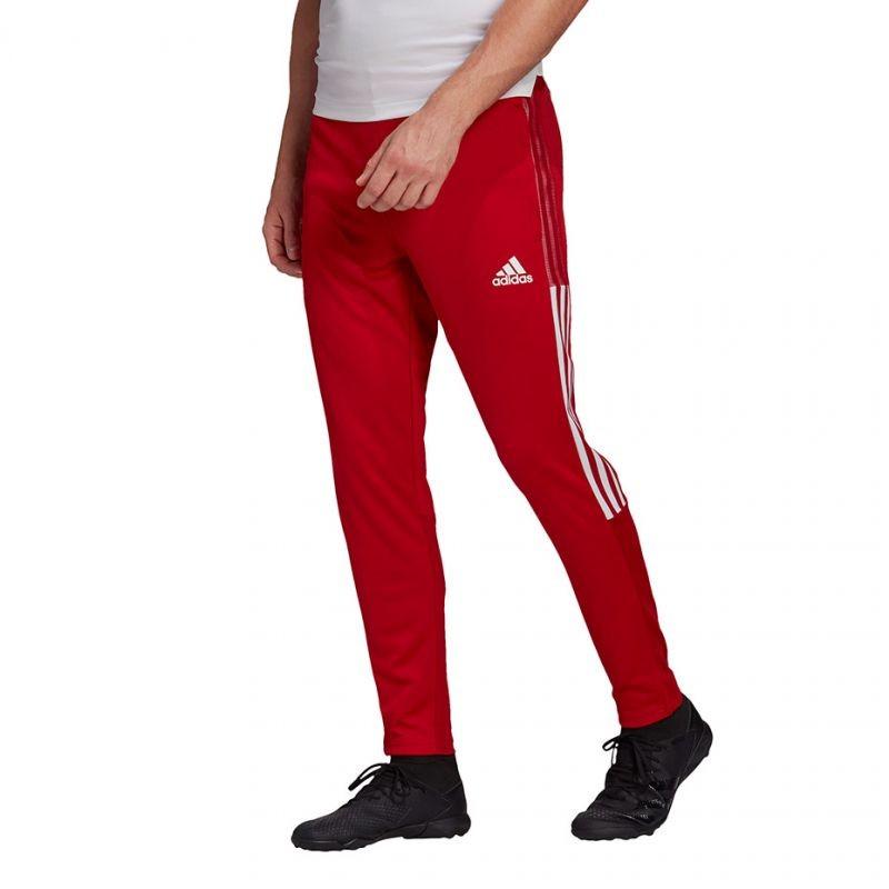 Adidas Tiro 21 Training M GJ9869 pants 