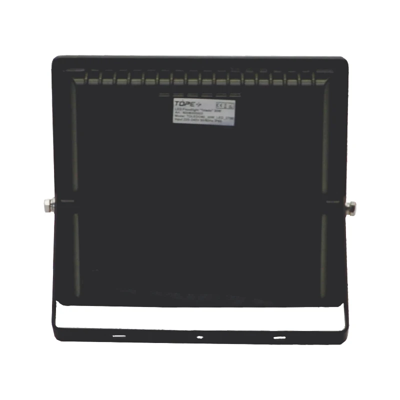 LED lauko prožektorius "TOLEDO" 30W