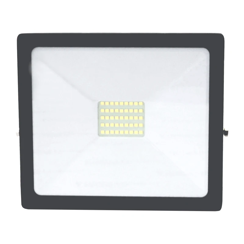 LED lauko prožektorius "TOLEDO" 30W
