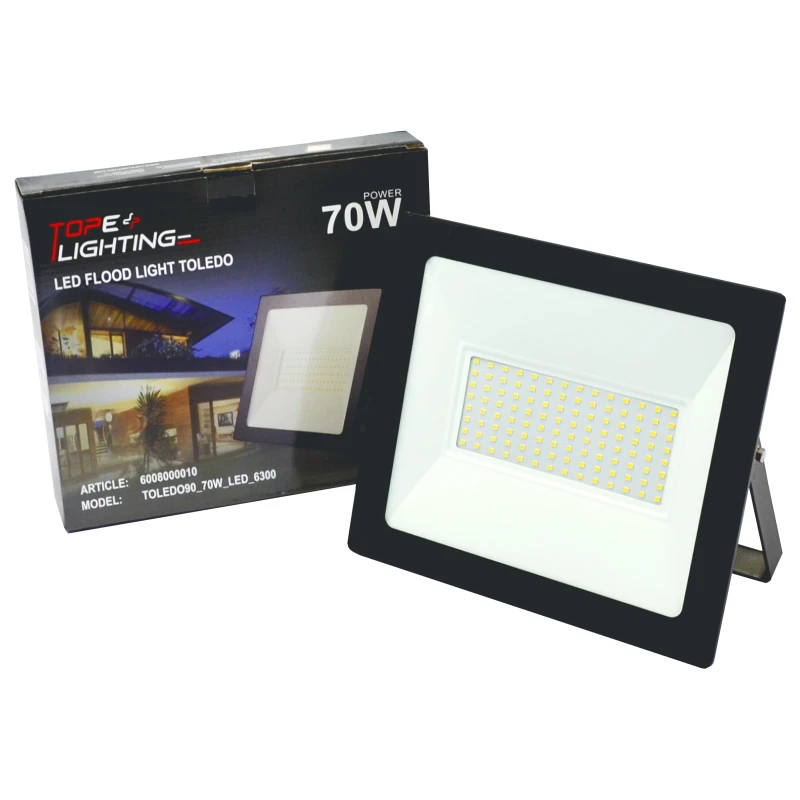 LED lauko prožektorius "TOLEDO" 70W
