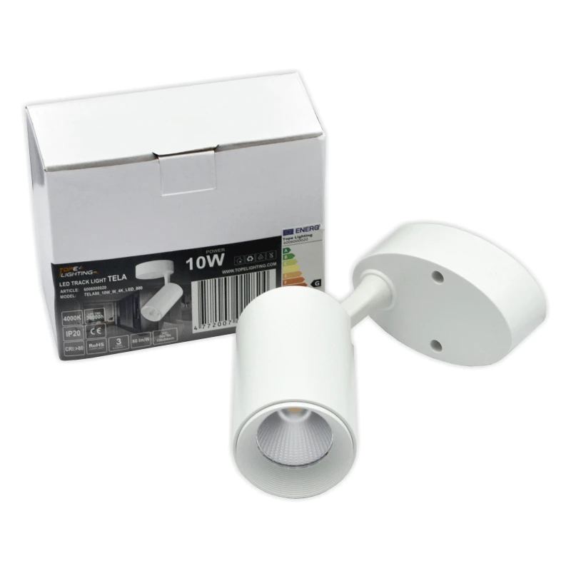 Lubinis baltas LED šviestuvas "TELA" 10W-4000K