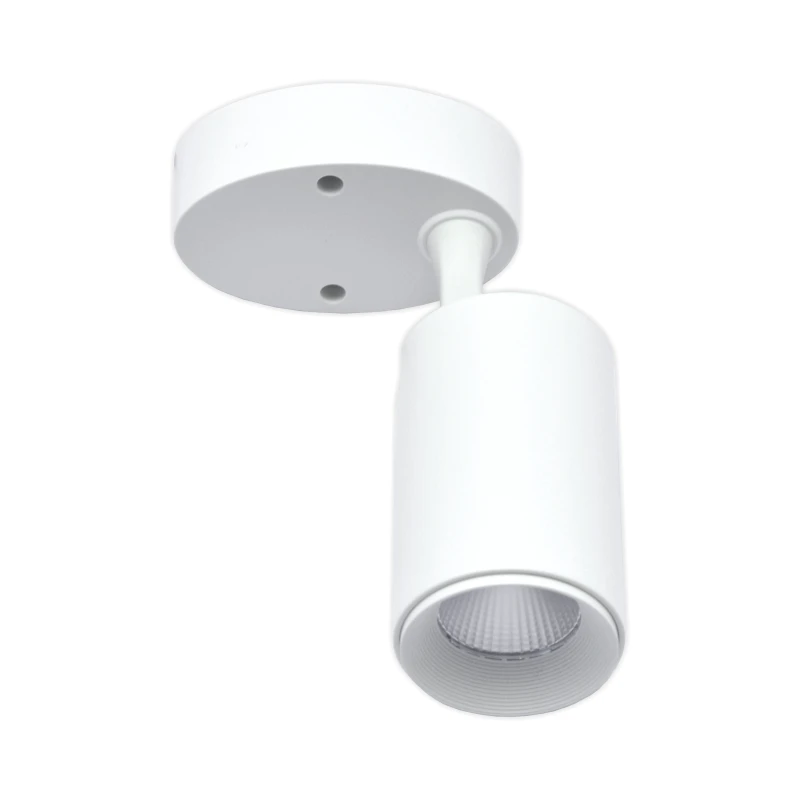 Lubinis baltas LED šviestuvas "TELA" 10W-3000K