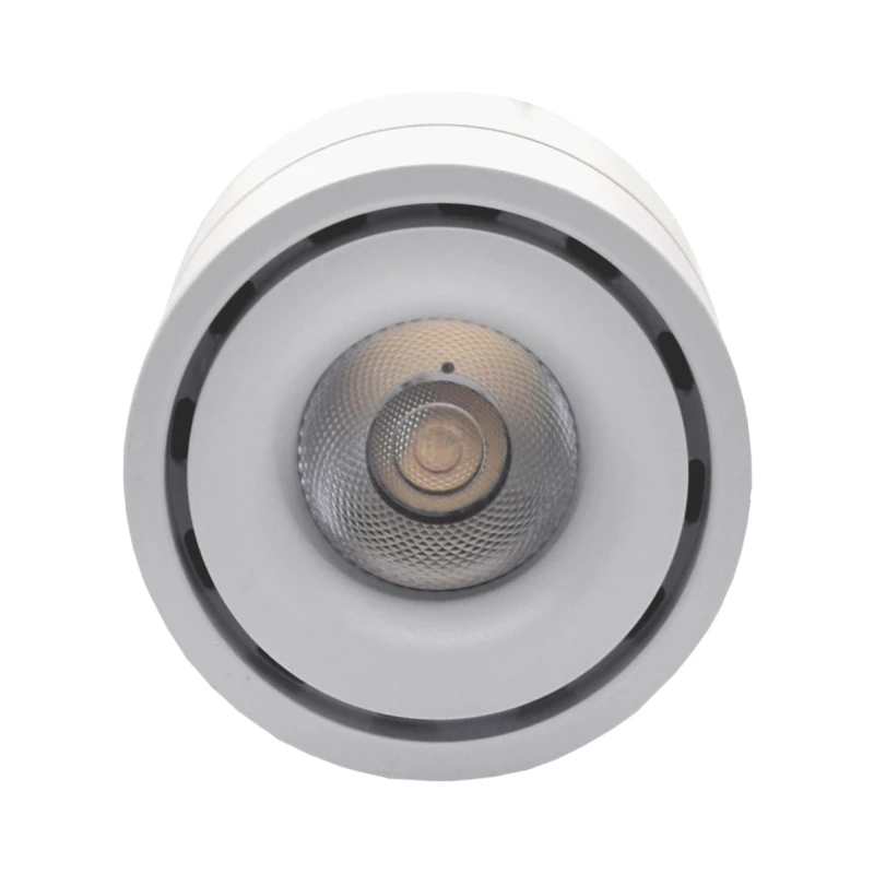 Lubinis šviestuvas TOPE Lubinis baltas LED šviestuvas "OSLO" 10W