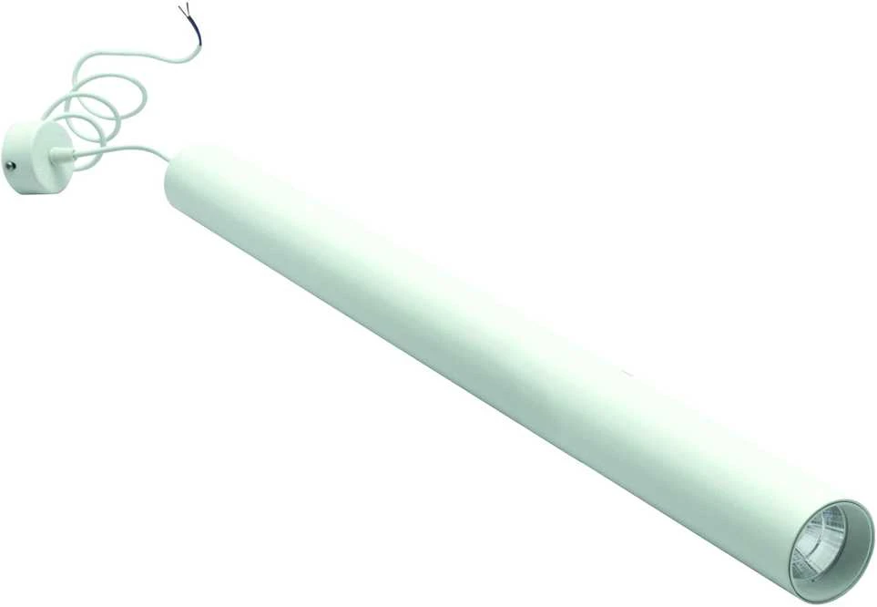 Pakabinamas šviestuvas Lubinis/pakabinamas LED šviestuvas 700mm, 10W, 3000K, baltas