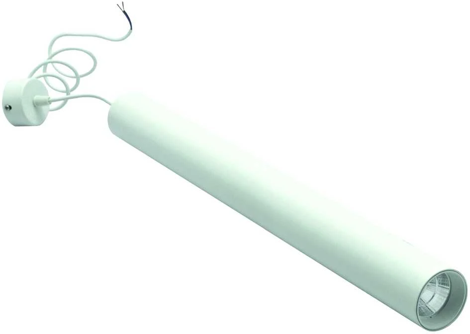 Pakabinamas šviestuvas Lubinis/pakabinamas LED šviestuvas 600mm, 10W, 3000K, baltas