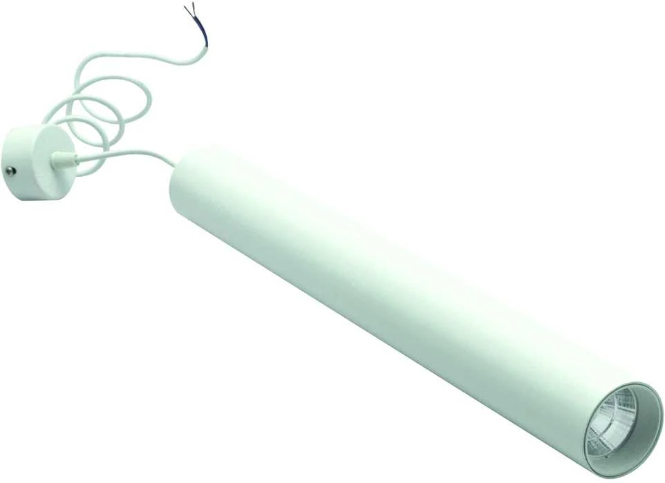 Pakabinamas šviestuvas Lubinis/pakabinamas LED šviestuvas 500mm, 10W, 3000K, baltas