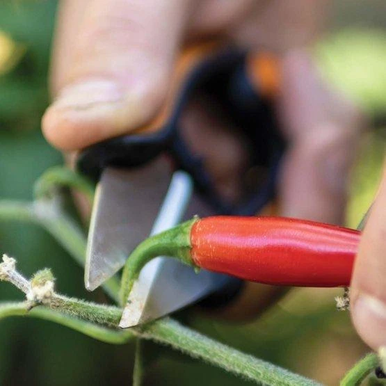 Fiskars Solid™ Žolelių kirpiklis (SP220) (1063326)